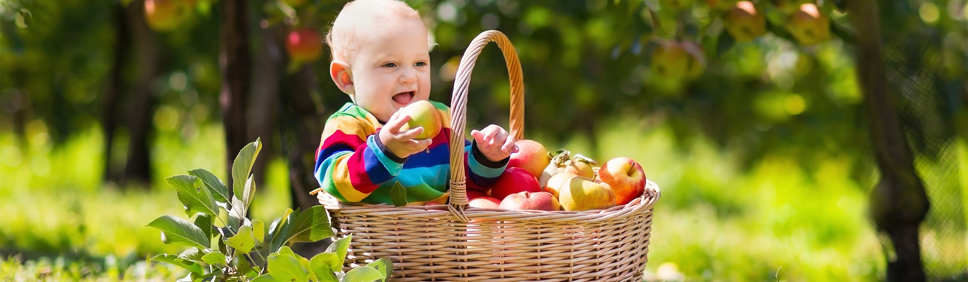 Alimentación infantil BIO